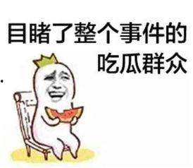 吃瓜群众网热心的朝阳群众在,揭秘网络热点背后的真相