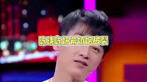 娱乐圈吃瓜陈晓,揭秘明星背后的真相